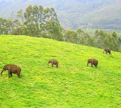 Munnar